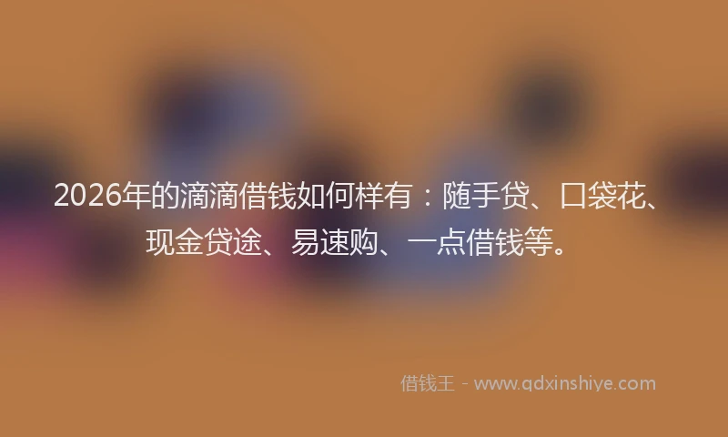 2026年的滴滴借钱如何样有：随手贷、口袋花、现金贷途、易速购、一点借钱等。