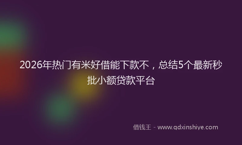 2026年热门有米好借能下款不，总结5个最新秒批小额贷款平台