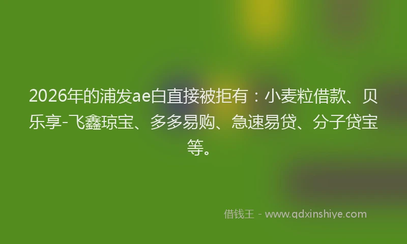 2026年的浦发ae白直接被拒有：小麦粒借款、贝乐享-飞鑫琼宝、多多易购、急速易贷、分子贷宝等。