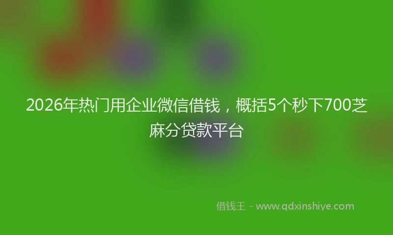 2026年热门用企业微信借钱，概括5个秒下700芝麻分贷款平台
