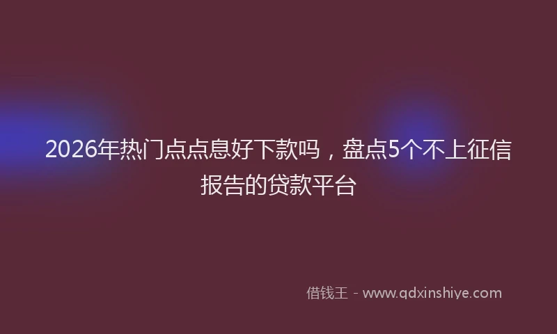 2026年热门点点息好下款吗，盘点5个不上征信报告的贷款平台