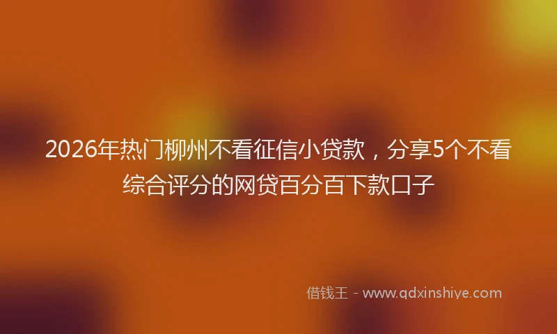 2026年热门柳州不看征信小贷款,分享5个不看综合评分的网贷百分百下款口子