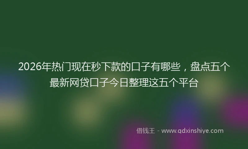 2026年热门现在秒下款的口子有哪些，盘点五个最新网贷口子今日整理这五个平台