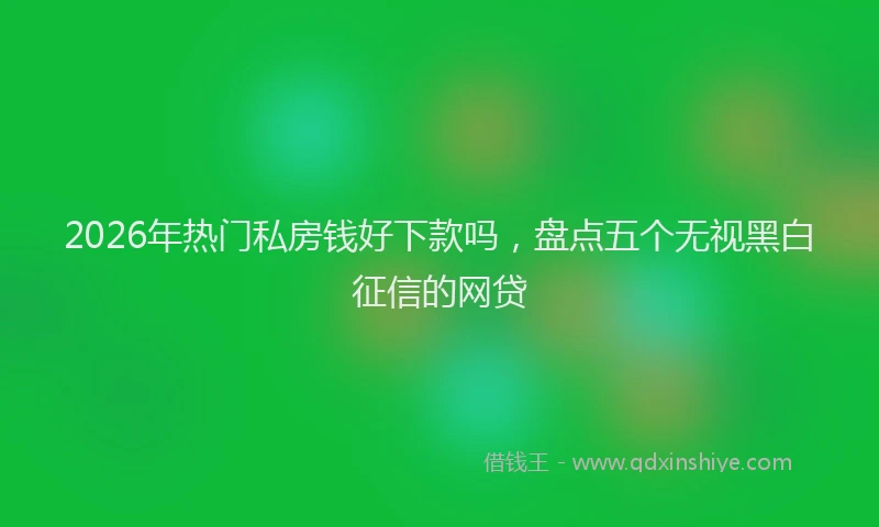 2026年热门私房钱好下款吗，盘点五个无视黑白征信的网贷