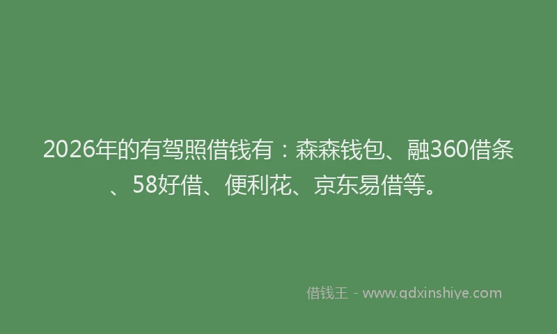 2026年的有驾照借钱有：森森钱包、融360借条、58好借、便利花、京东易借等。