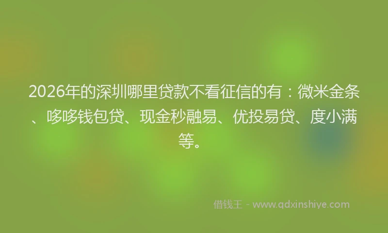 2026年的深圳哪里贷款不看征信的有：微米金条、哆哆钱包贷、现金秒融易、优投易贷、度小满等。