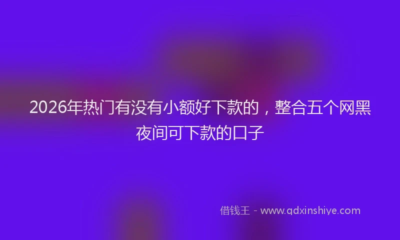 2026年热门有没有小额好下款的,整合五个网黑夜间可下款的口子