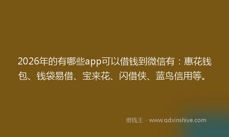 2026年的有哪些app可以借钱到微信有:惠花钱包、钱袋易借、宝来花、闪借侠、蓝鸟信用等。