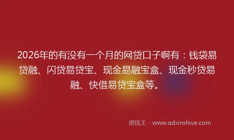 2026年的有没有一个月的网贷口子啊有:钱袋易贷融、闪贷易贷宝、现金易融宝盒、现金秒贷易融、快借易贷宝盒等。