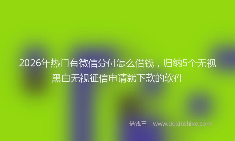 2026年热门有微信分付怎么借钱，归纳5个无视黑白无视征信申请就下款的软件