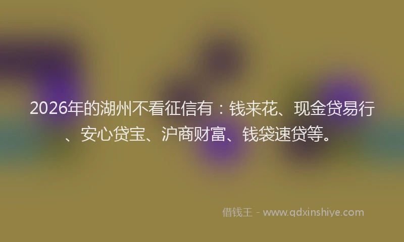 2026年的湖州不看征信有：钱来花、现金贷易行、安心贷宝、沪商财富、钱袋速贷等。