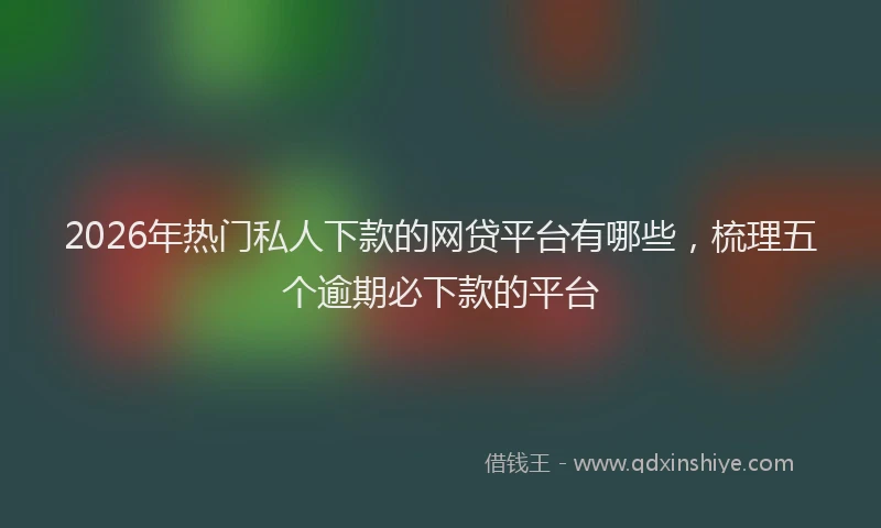 2026年热门私人下款的网贷平台有哪些,梳理五个逾期必下款的平台