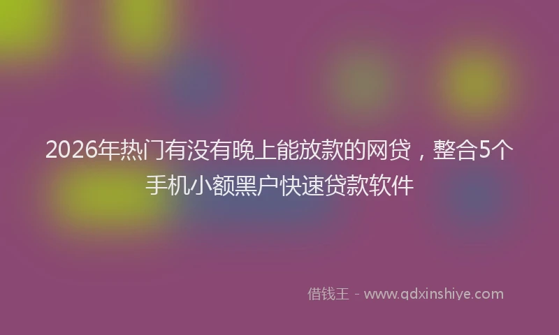 2026年热门有没有晚上能放款的网贷，整合5个手机小额黑户快速贷款软件