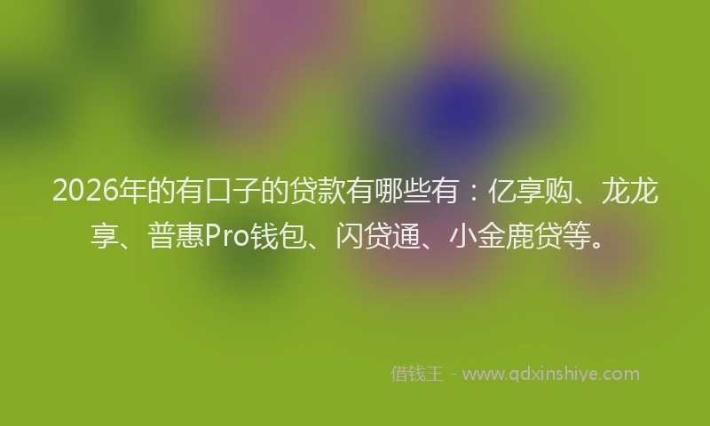 2026年的有口子的贷款有哪些有：亿享购、龙龙享、普惠Pro钱包、闪贷通、小金鹿贷等。