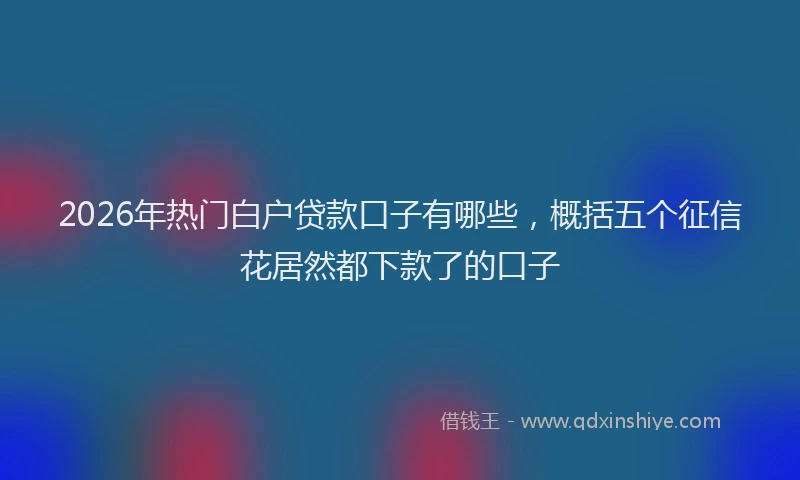 2026年热门白户贷款口子有哪些，概括五个征信花居然都下款了的口子
