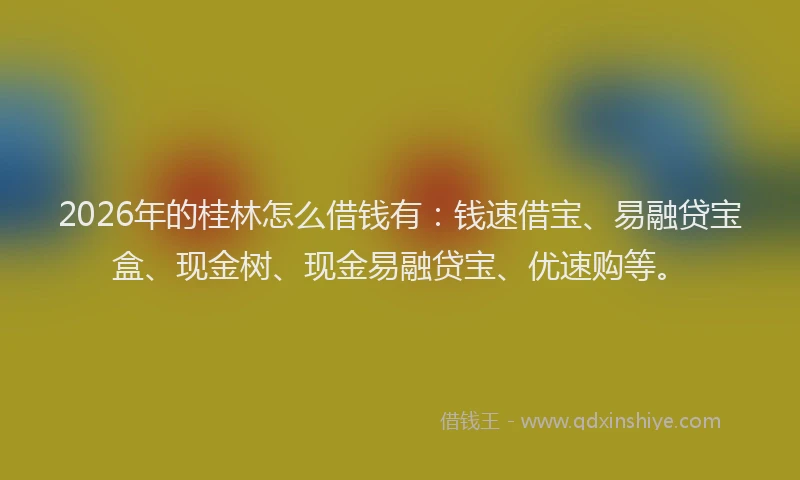 2026年的桂林怎么借钱有：钱速借宝、易融贷宝盒、现金树、现金易融贷宝、优速购等。
