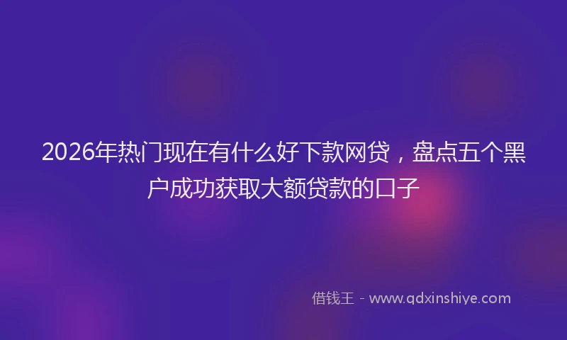 2026年热门现在有什么好下款网贷，盘点五个黑户成功获取大额贷款的口子