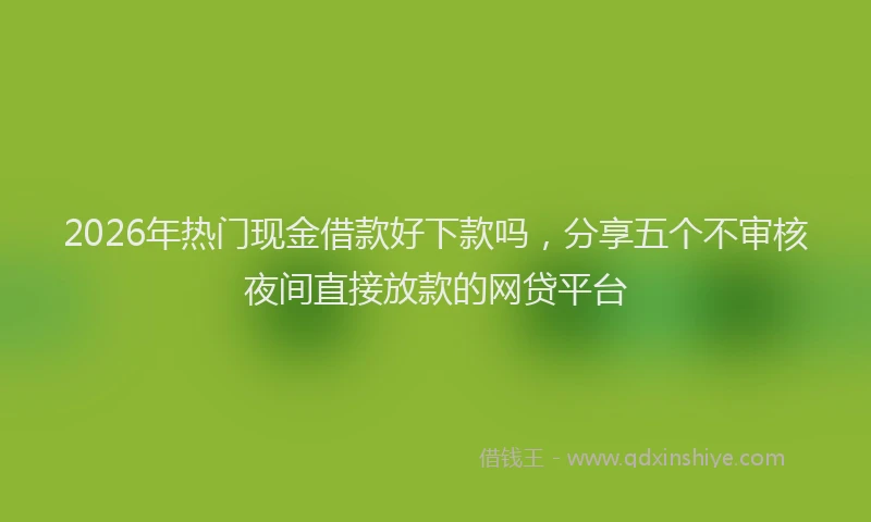 2026年热门现金借款好下款吗，分享五个不审核夜间直接放款的网贷平台