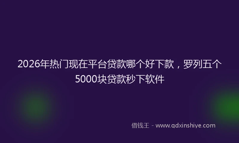 2026年热门现在平台贷款哪个好下款，罗列五个5000块贷款秒下软件