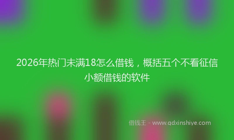 2026年热门未满18怎么借钱，概括五个不看征信小额借钱的软件