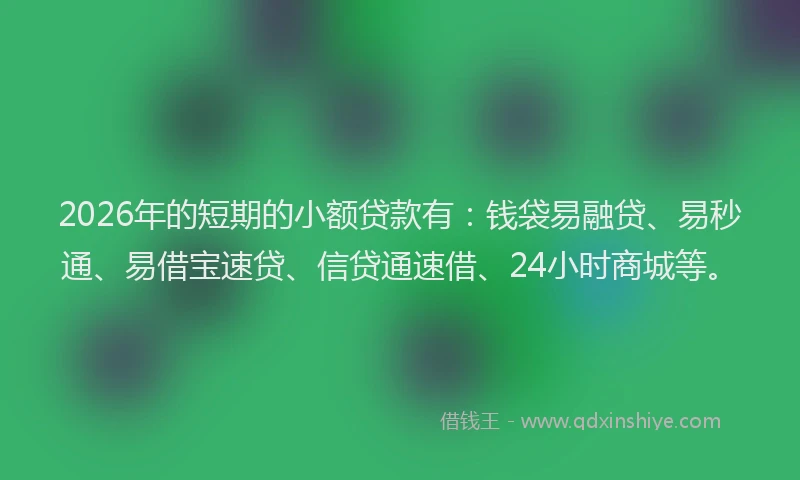 2026年的短期的小额贷款有：钱袋易融贷、易秒通、易借宝速贷、信贷通速借、24小时商城等。