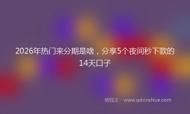 2026年热门来分期是啥，分享5个夜间秒下款的14天口子