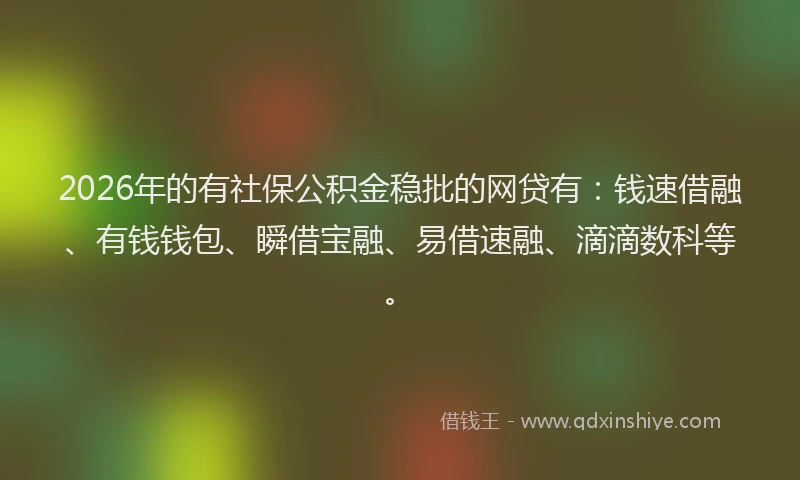 2026年的有社保公积金稳批的网贷有:钱速借融、有钱钱包、瞬借宝融、易借速融、滴滴数科等。
