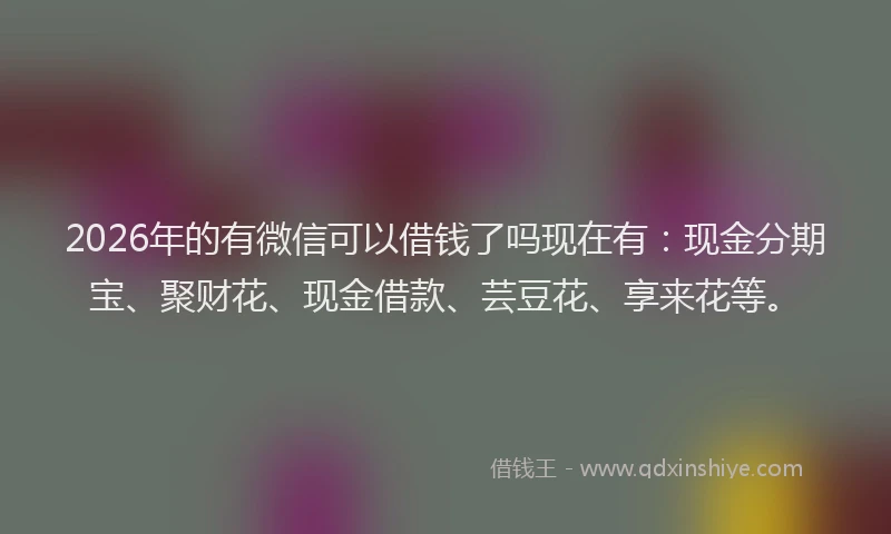 2026年的有微信可以借钱了吗现在有：现金分期宝、聚财花、现金借款、芸豆花、享来花等。