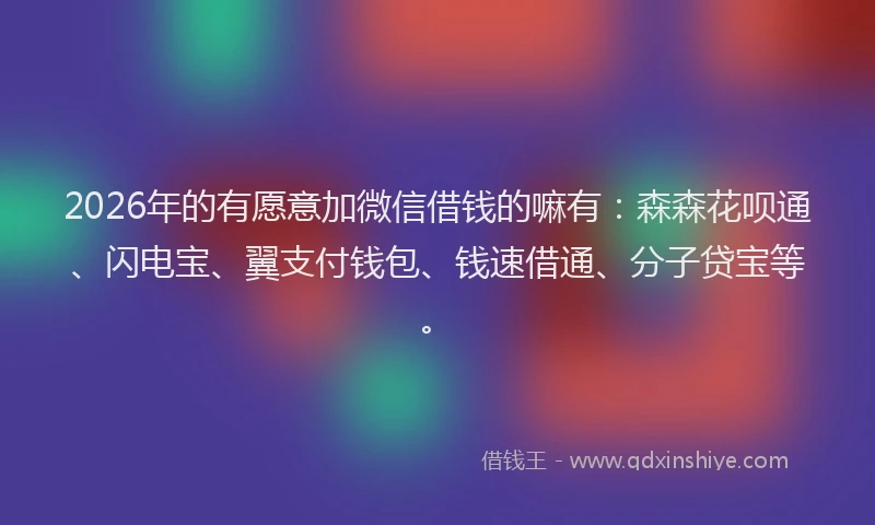 2026年的有愿意加微信借钱的嘛有：森森花呗通、闪电宝、翼支付钱包、钱速借通、分子贷宝等。