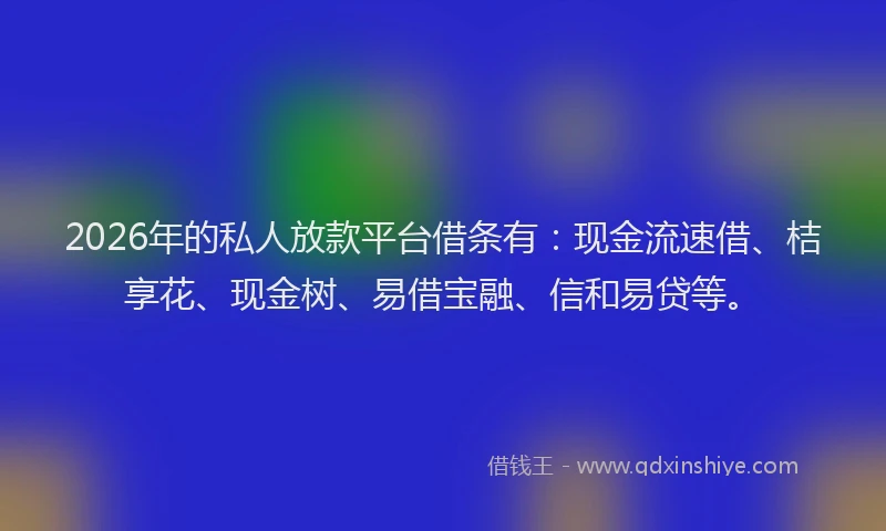 2026年的私人放款平台借条有：现金流速借、桔享花、现金树、易借宝融、信和易贷等。