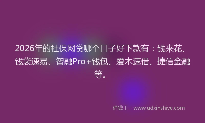 2026年的社保网贷哪个口子好下款有：钱来花、钱袋速易、智融Pro+钱包、爱木速借、捷信金融等。