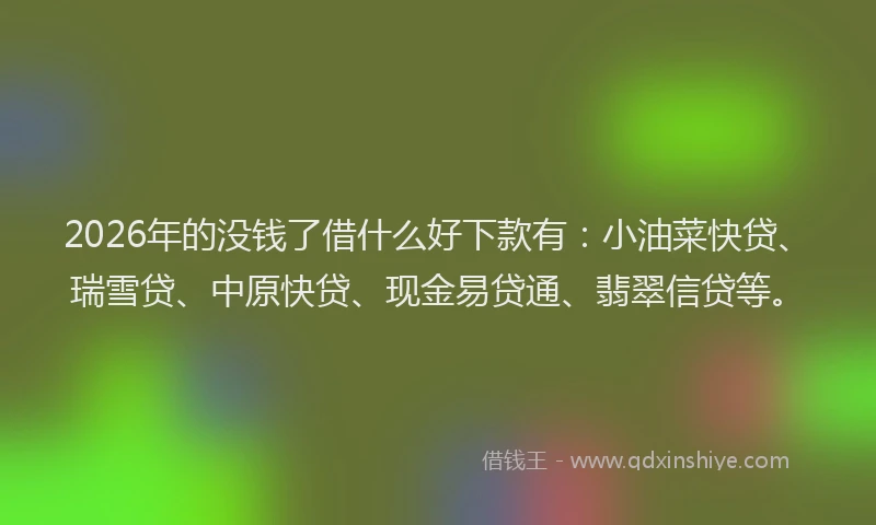 2026年的没钱了借什么好下款有：小油菜快贷、瑞雪贷、中原快贷、现金易贷通、翡翠信贷等。