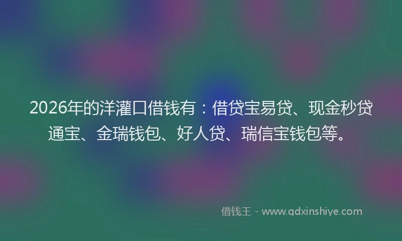 2026年的洋灌口借钱有：借贷宝易贷、现金秒贷通宝、金瑞钱包、好人贷、瑞信宝钱包等。