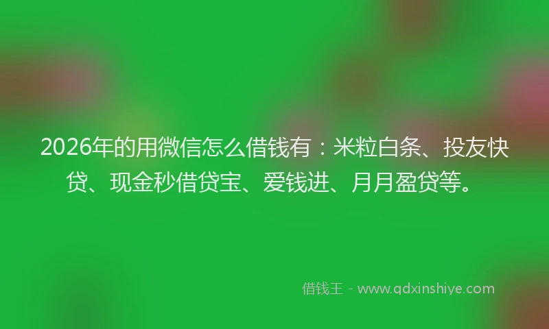 2026年的用微信怎么借钱有：米粒白条、投友快贷、现金秒借贷宝、爱钱进、月月盈贷等。
