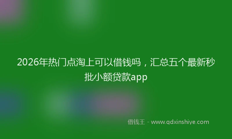 2026年热门点淘上可以借钱吗,汇总五个最新秒批小额贷款app