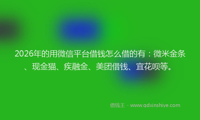2026年的用微信平台借钱怎么借的有：微米金条、现金猫、疾融金、美团借钱、宜花呗等。