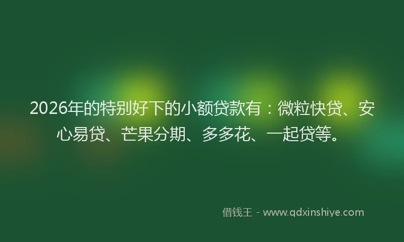 2026年的特别好下的小额贷款有：微粒快贷、安心易贷、芒果分期、多多花、一起贷等。
