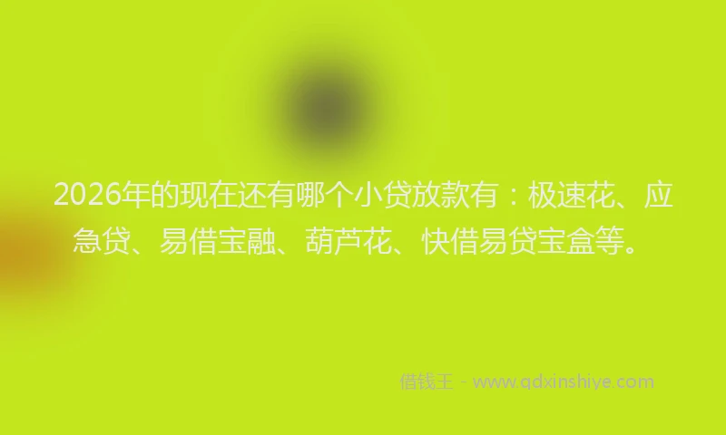 2026年的现在还有哪个小贷放款有：极速花、应急贷、易借宝融、葫芦花、快借易贷宝盒等。