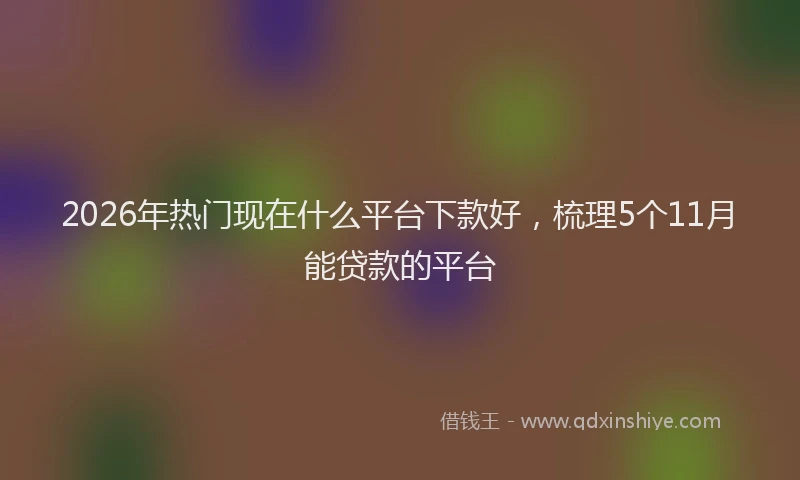 2026年热门现在什么平台下款好，梳理5个11月能贷款的平台