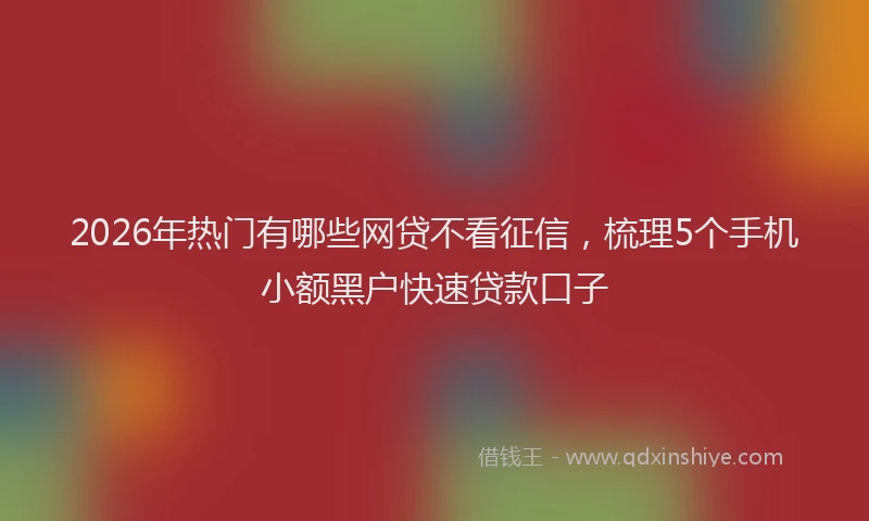 2026年热门有哪些网贷不看征信，梳理5个手机小额黑户快速贷款口子