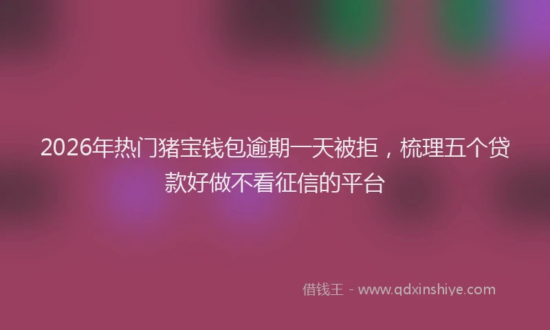 2026年热门猪宝钱包逾期一天被拒，梳理五个贷款好做不看征信的平台