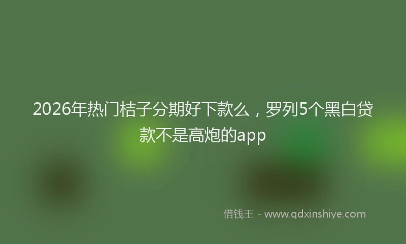 2026年热门桔子分期好下款么，罗列5个黑白贷款不是高炮的app