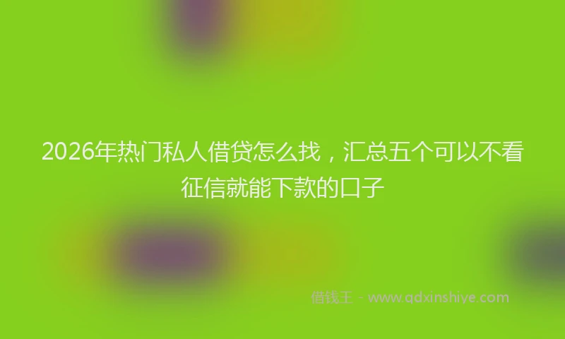 2026年热门私人借贷怎么找，汇总五个可以不看征信就能下款的口子