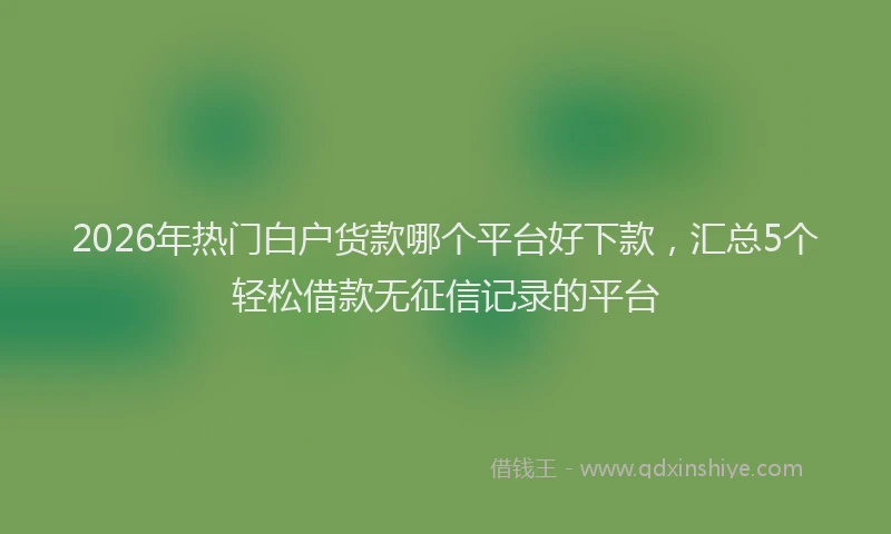 2026年热门白户货款哪个平台好下款，汇总5个轻松借款无征信记录的平台