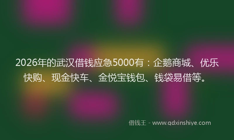 2026年的武汉借钱应急5000有：企鹅商城、优乐快购、现金快车、金悦宝钱包、钱袋易借等。
