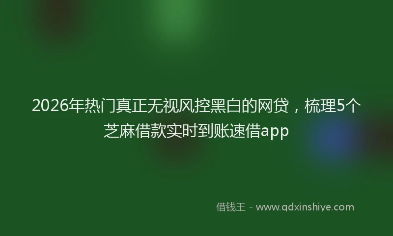 2026年热门真正无视风控黑白的网贷，梳理5个芝麻借款实时到账速借app