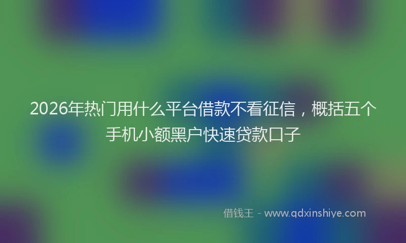 2026年热门用什么平台借款不看征信，概括五个手机小额黑户快速贷款口子