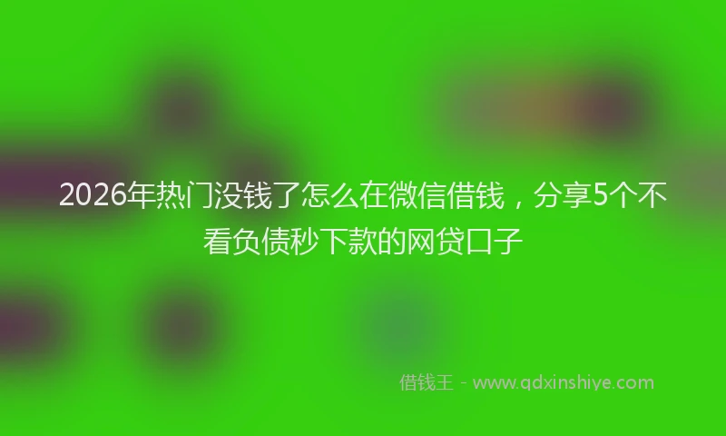 2026年热门没钱了怎么在微信借钱，分享5个不看负债秒下款的网贷口子