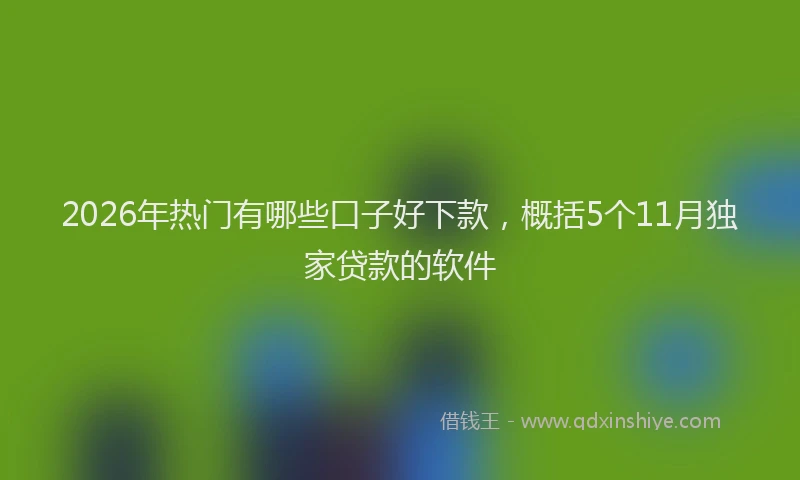 2026年热门有哪些口子好下款，概括5个11月独家贷款的软件