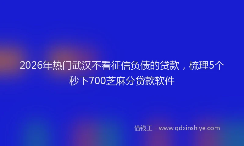 2026年热门武汉不看征信负债的贷款，梳理5个秒下700芝麻分贷款软件